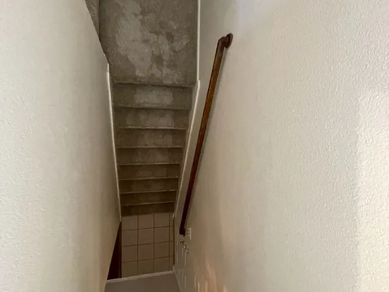 11725 Cottontail Dr — Photo 19