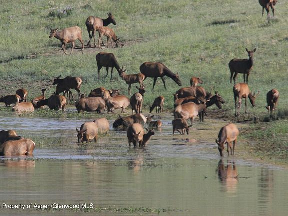 12th image of this home