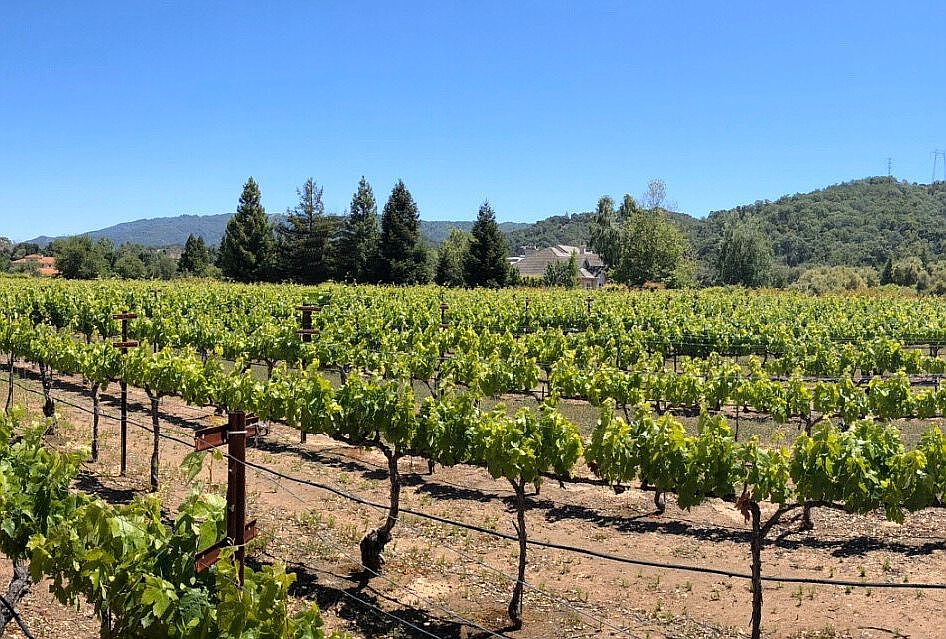 4279 Redwood Retreat Rd, Gilroy, CA 95020 Zillow