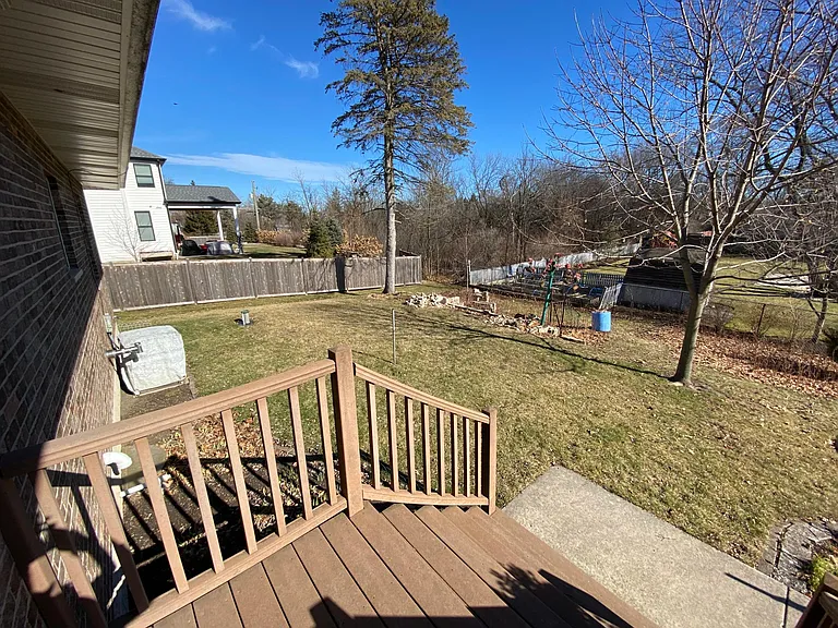 Back yard