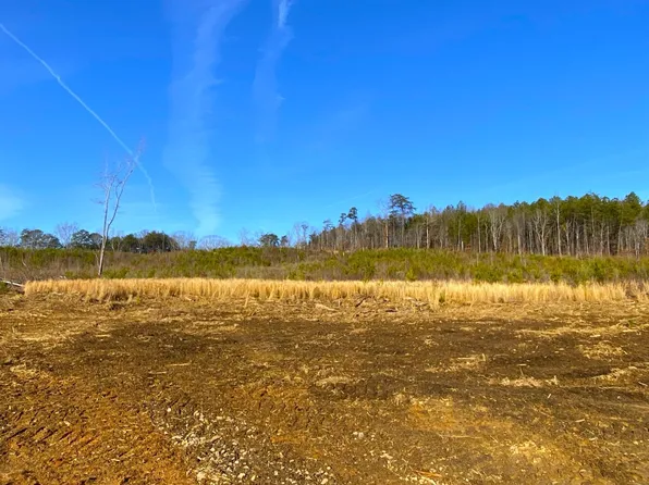 0 Frozen Hollow Rd, Carbon Hill, AL 35549