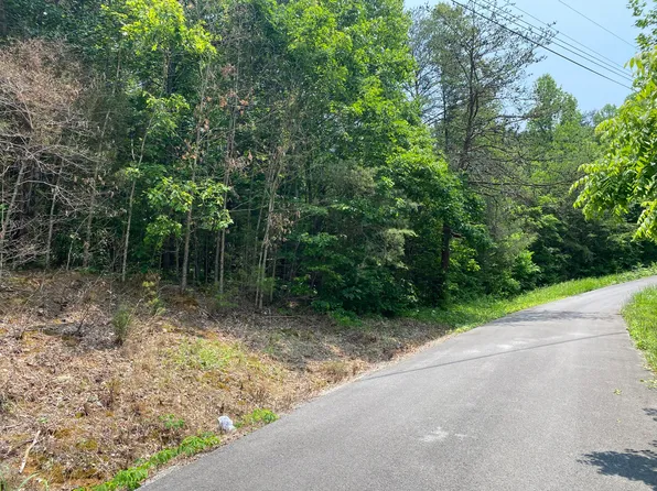 LOT 20 Point View Dr, Parrottsville, TN 37843