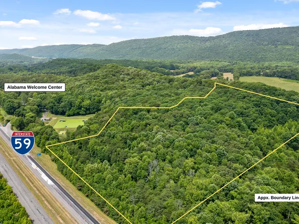 County Road 797, Valley Head, AL 35989