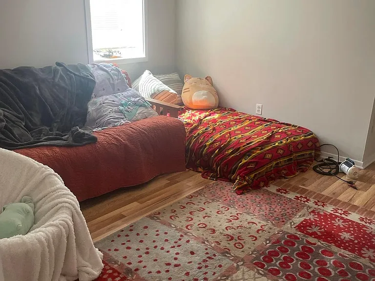 Lower level bedroom/family room