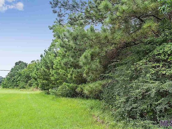 3rd image of 9032 Port Hudson Dr