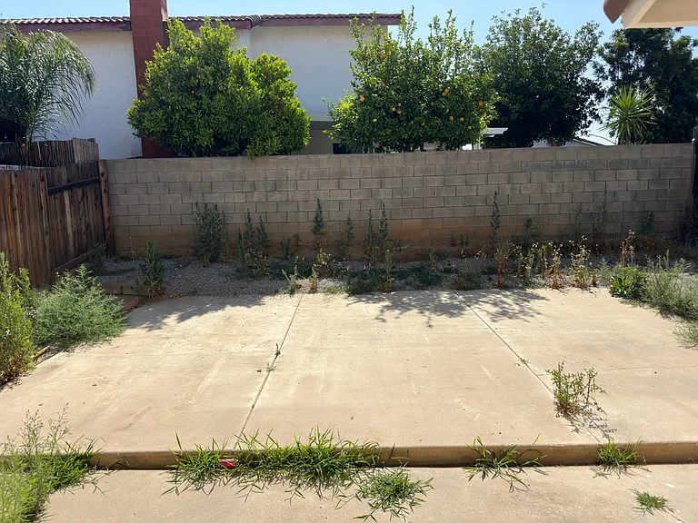 11876 Dream St — Photo 24