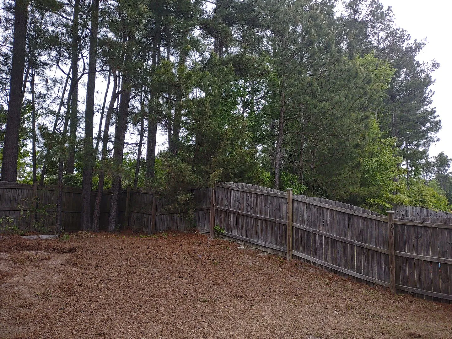 New Flooring!! Super Four Bedroom Home In Northeast Columbia! — Photo 3