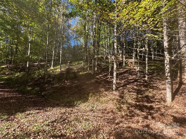 9 Susanna Cove Rd, Mars Hill, NC 28754