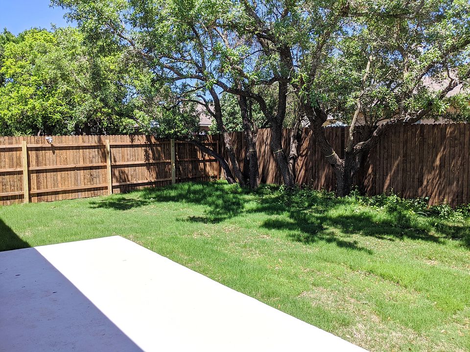 Backyard - Lot of trees and plenty of shade.