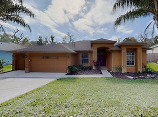 4617 River Overlook Dr, Valrico, FL 33596