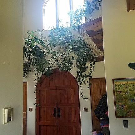 front door interior