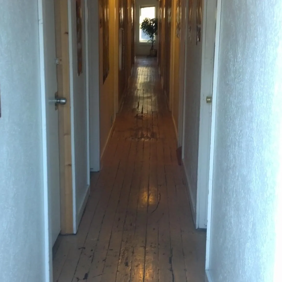Studio, 150 sqft, $400 — Photo 2