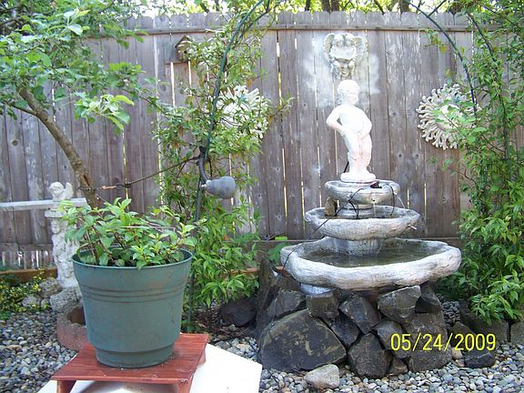Beautiful back yard....