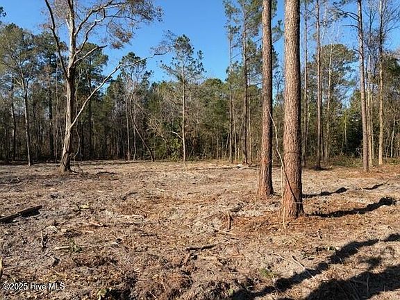 2nd image of 4401 Smith Trail NE LOT L-B-1