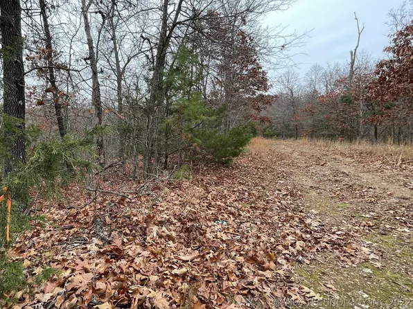 150 Bear Cub Trl, Kansas, OK 74347