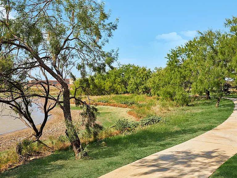 243 Backcountry Dr — Photo 27
