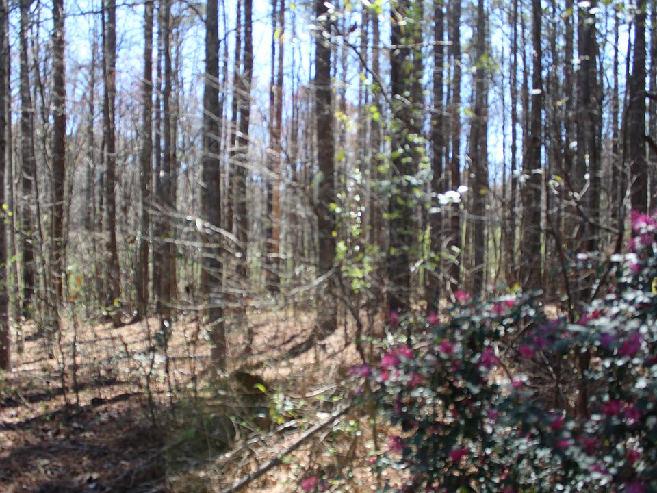Wooded 
