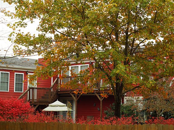 2nd image of 158 Cottonwood Dr