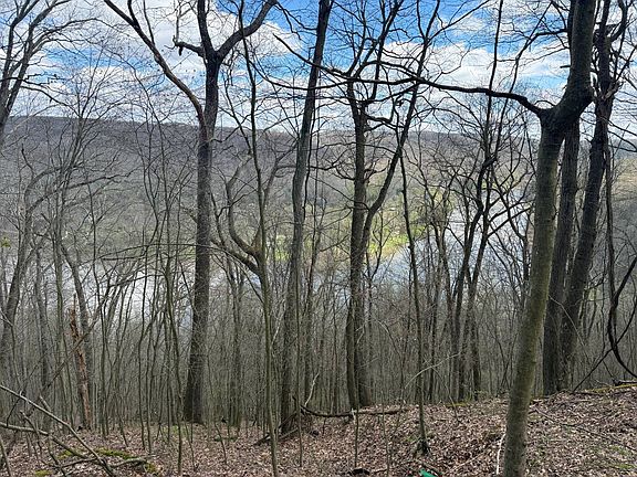 5th image of 0 Dennison Run Rd
