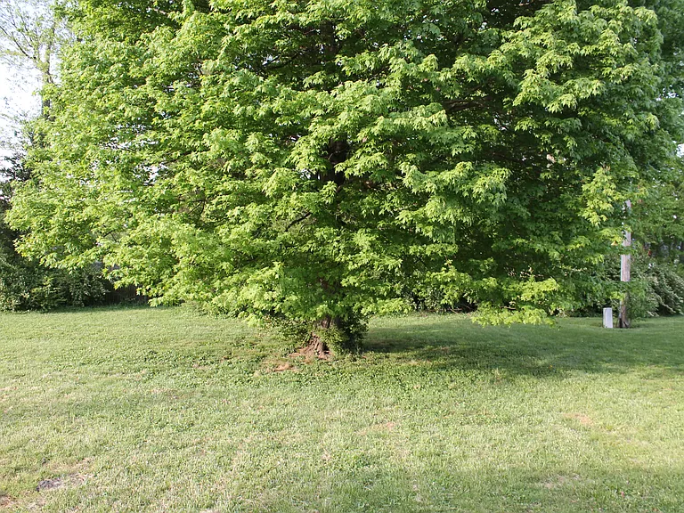 924 Parkland Way #A — Photo 19