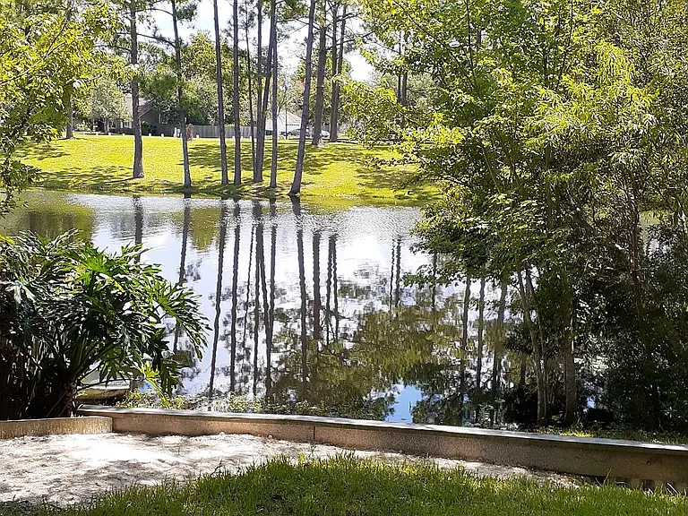 Relaxing & peaceful view from patio area