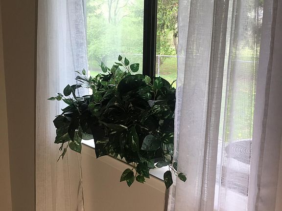 View from the Bedroom #2