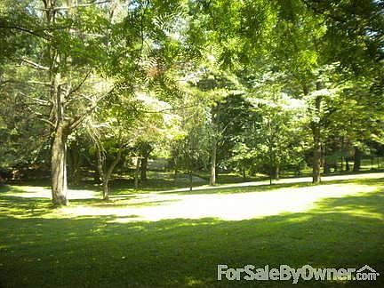 View of Lot from Front of House