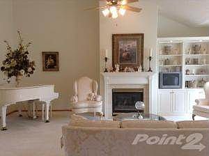 Living Room Fireplace