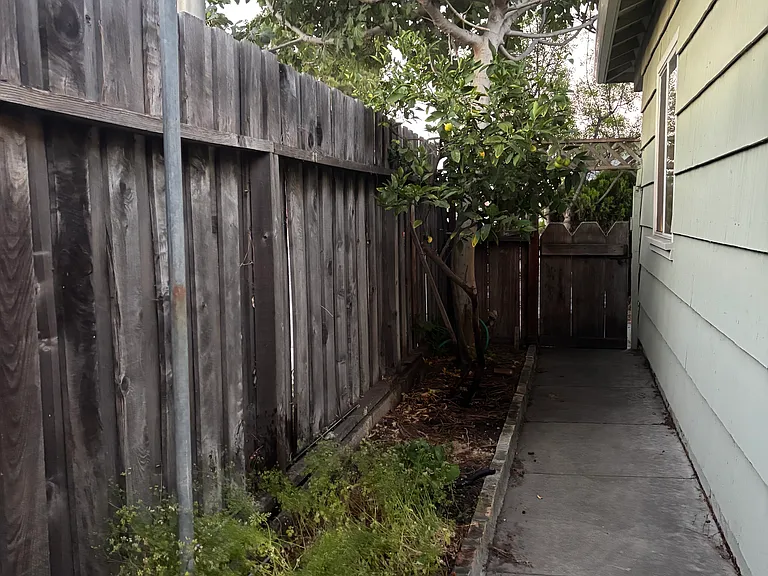 Side Yard