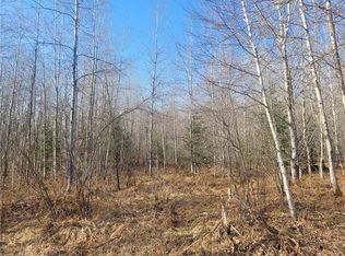 Near Knowles Road, Loretta, WI 54896