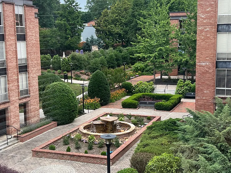 Exterior of complex - view from living room