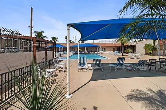 26146 Butterfly Palm Dr — Photo 22