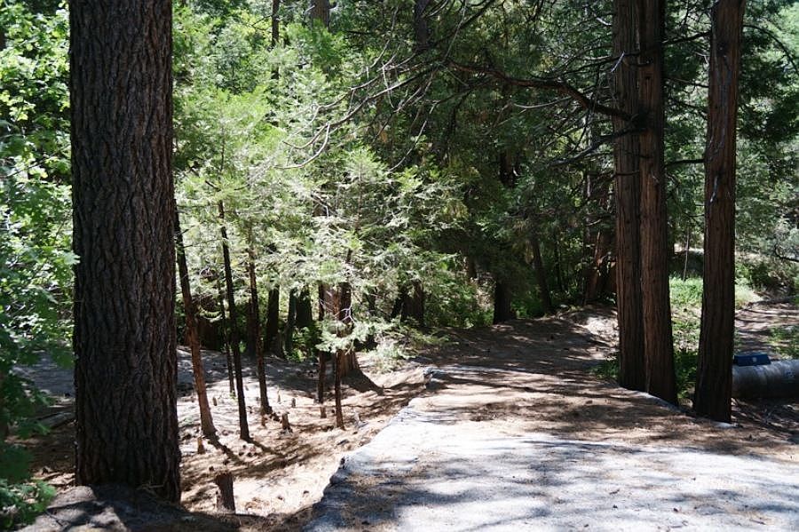 2nd image of Cedar Glen Dr