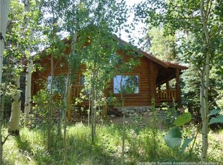 700 Silverheels Rd, Fairplay, CO 80440