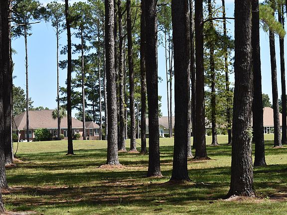 2nd image of 400 Pinelake Ct