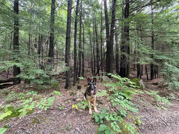 20 Thurley Rd, Center Ossipee, NH 03814