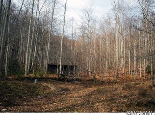 204 Saw Branch Rd, Candler, NC 28715