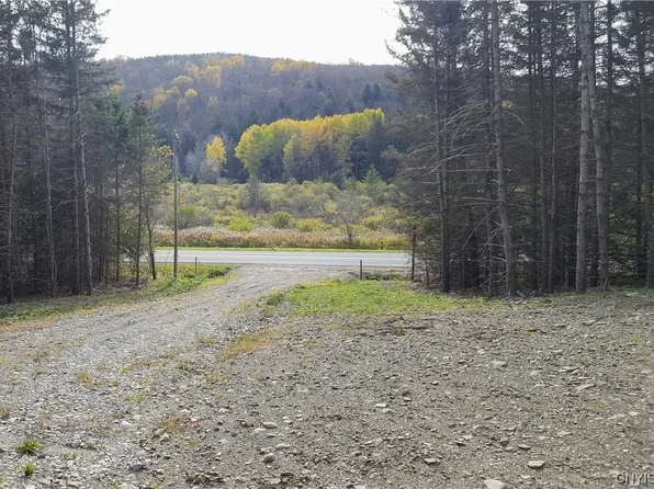 0 S Lebanon Rd #1, Earlville, NY 13332