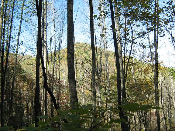 3rd image of 000 Nc Hwy 209