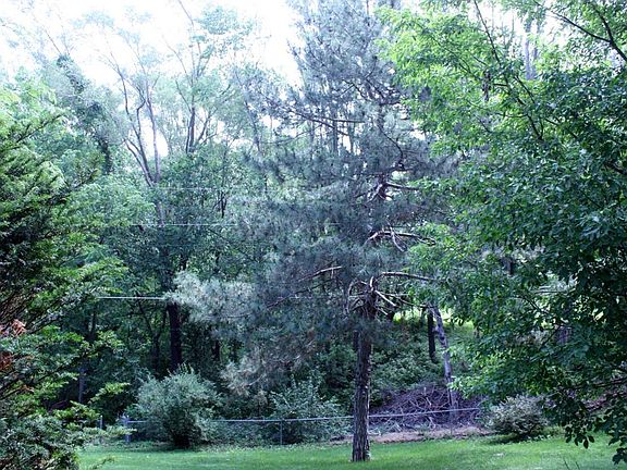 You'll love the trees!