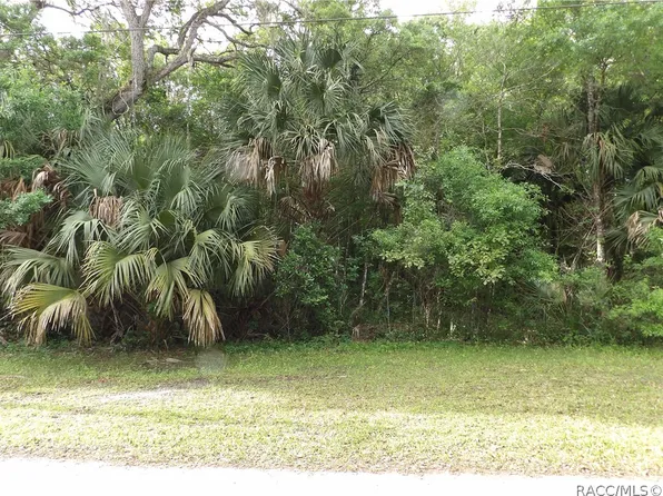 10406 E Freddy St, Inverness, FL 34450