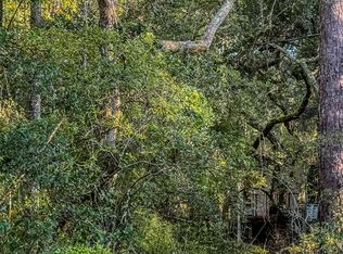 164 SE Pelican Rd, Branford, FL 32008