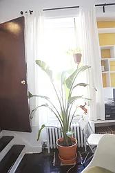 Rented by Aimee Grodanz, LREB