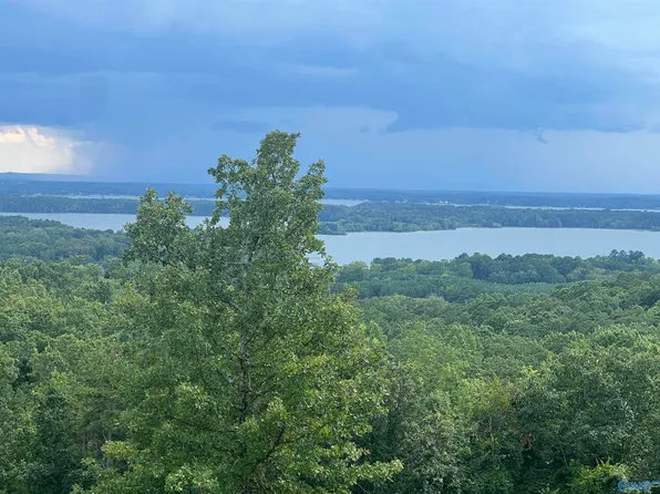 40 County Road 767, Cedar Bluff, AL 35959