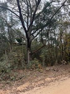Ebh 4 1b Wendell Ln, Wagener, SC, 29164