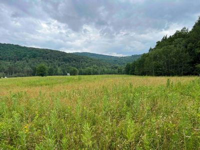 0 Briggs Hill Rd, Nichols, NY, 13812