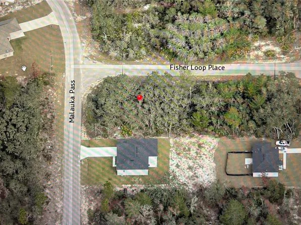 Fisher Loop Pl Lot 8, Ocklawaha, FL 32179