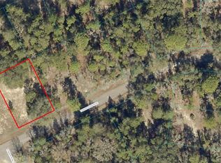 0 Fisher Run #20, Ocklawaha, FL 32179