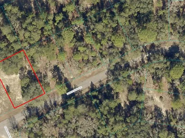 0 FISHER RUN TRACE LOT 20, OCKLAWAHA, FL 32179