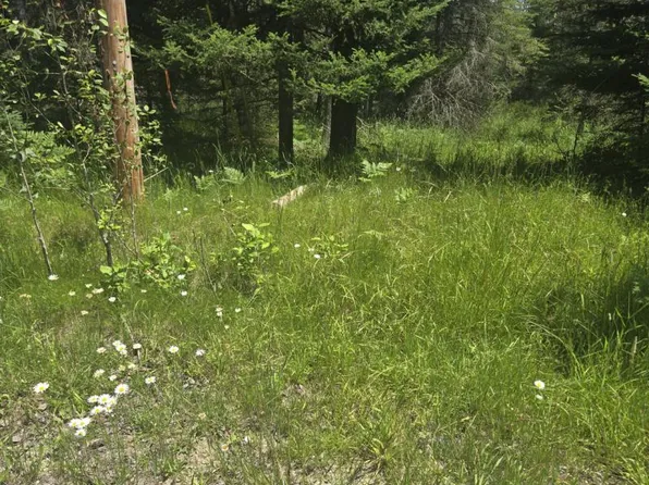 N Burr Oak Rd, Lincoln, MI 48742